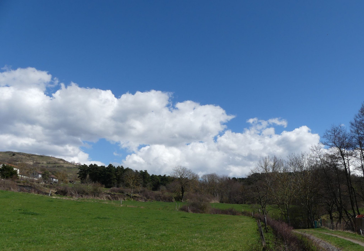 P1100390.jpg