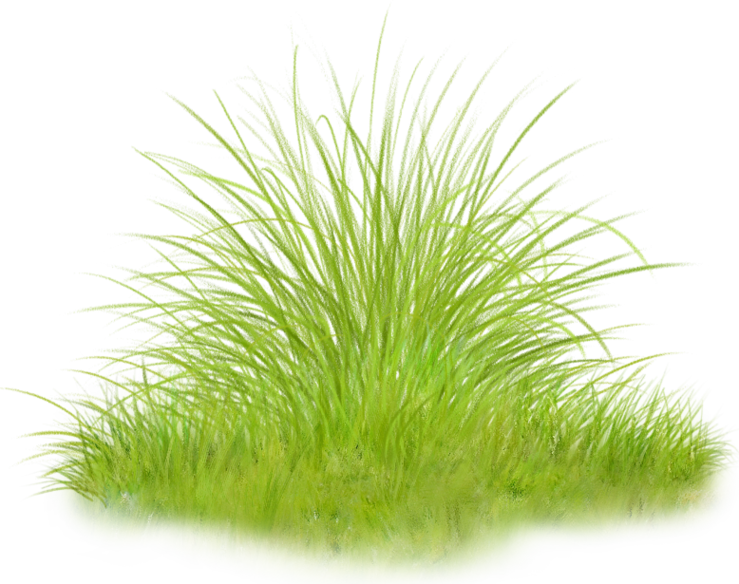 0_1c0bb7_c52ab1ed_orig