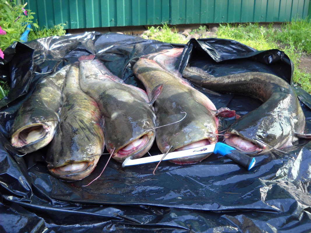 Валера Шуклин...