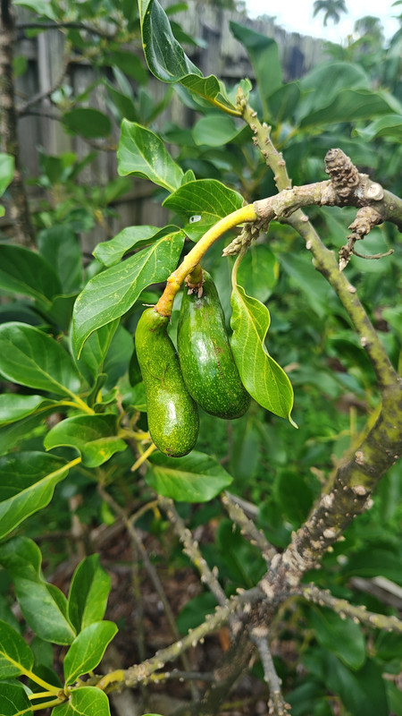 IMG_20250726_110834698