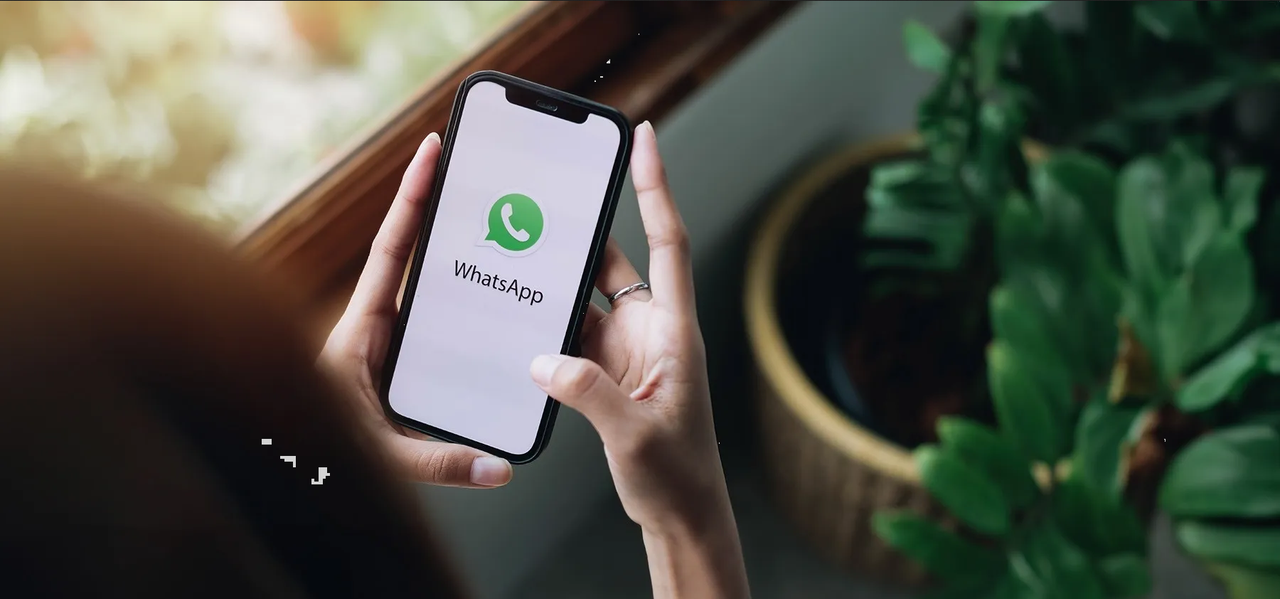 WhatsApp: Guía práctica de cómo organizar tus documentos por fecha