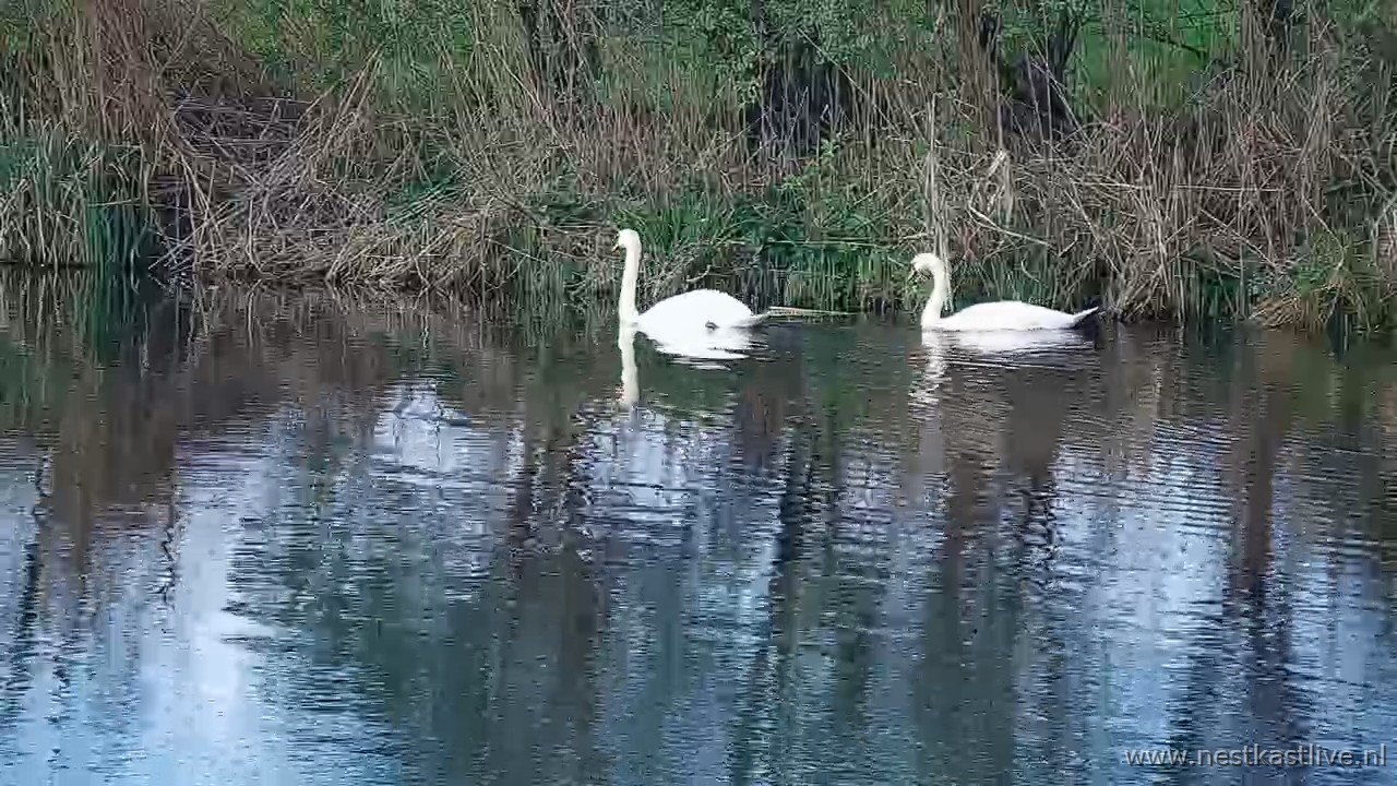 snapshot 2026 04 04T102347 605