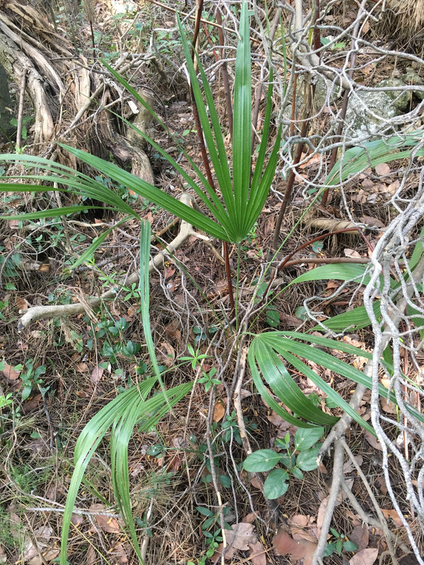 65F926DC-B573-487B-9B82-18005F5EEF8C