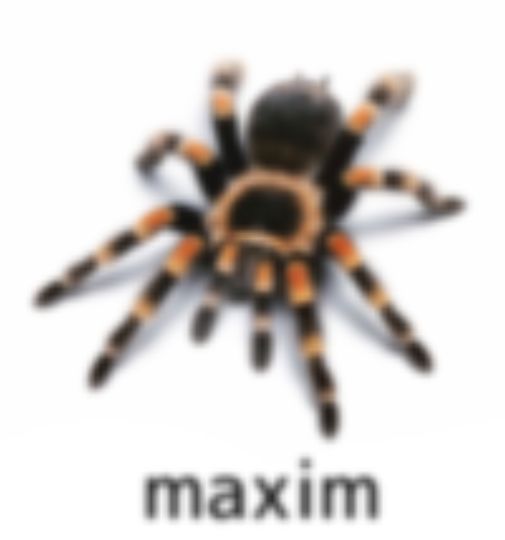 ab50e5ff23d7c4c3b61b2b47b22ec8da
