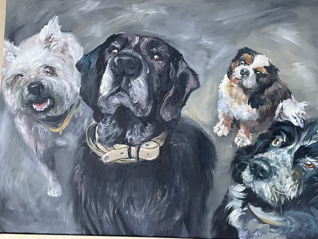 0AD9BA0C-517E-411B-8413-FBF94B595C64