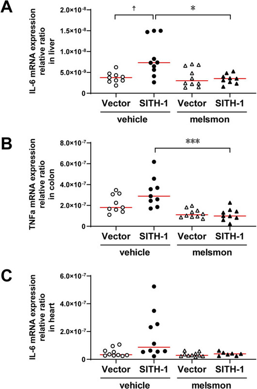Inflammatory cytokine expression in peripheral organs after stress exposure