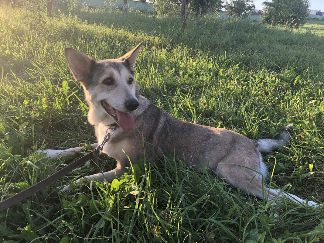 BDBE848E-3B10-49D1-BFBD-5113DA095C24