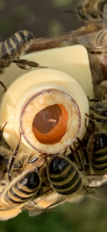 83DCE1ED-1722-4033-81FF-704D55503074