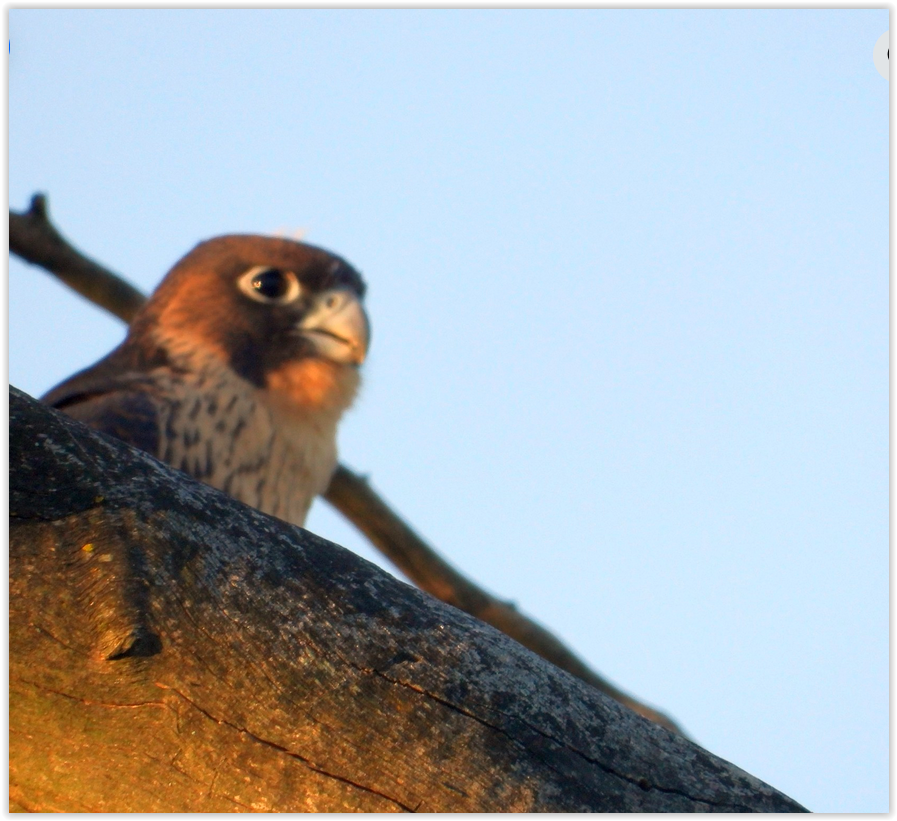 Screen Shot 12 24 25 at 03 05 PM 002