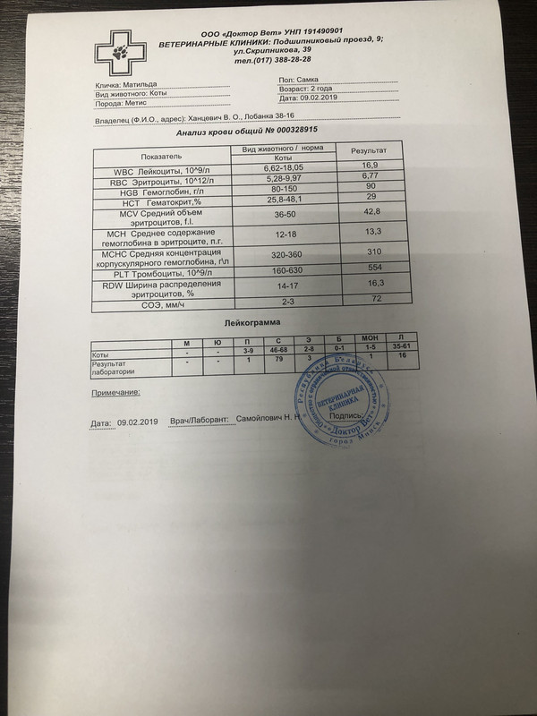 3E314796-4978-4C7E-AD84-24A71793FD37