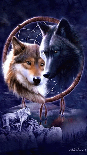 Lobos-Wolf-4