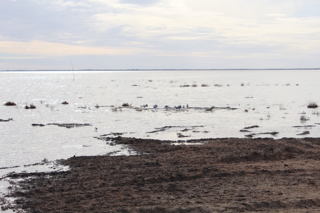 2021 Boys Googs Tk & Off-Track Desert Trip (148)