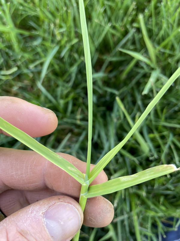 271A6877-18FA-4FEC-9A49-CA5D0DA78BB6