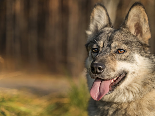 изображение_viber_2022-01-10_11-24-51-255