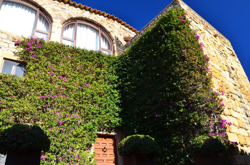 PALS-21-11-2017 - Gerona y sus pueblos-2016/2017 (50)