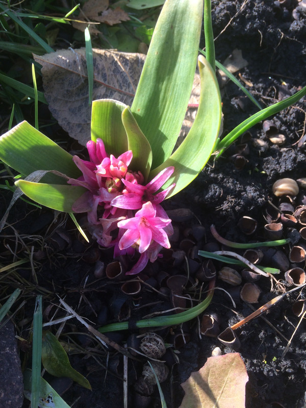 3AAB9097-F551-47ED-B300-FDC444073A1B