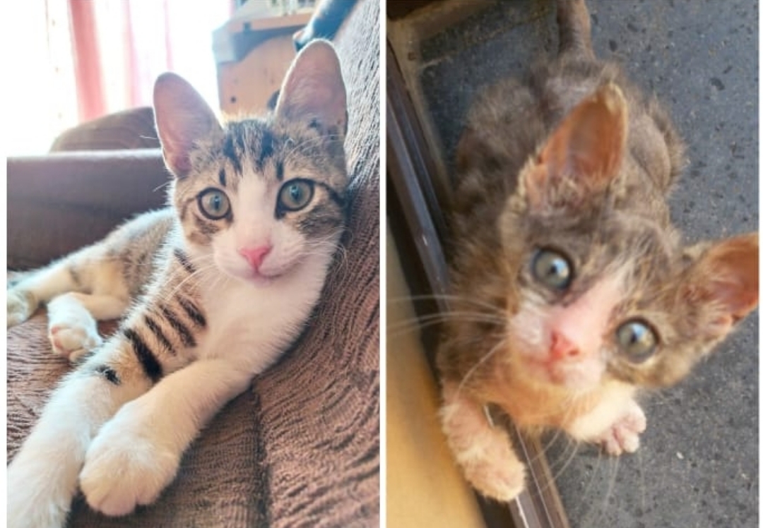 Polish_20230318_153511062