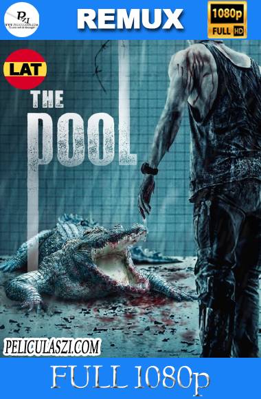 The Pool (2018) Full HD REMUX 1080p Dual-Latino