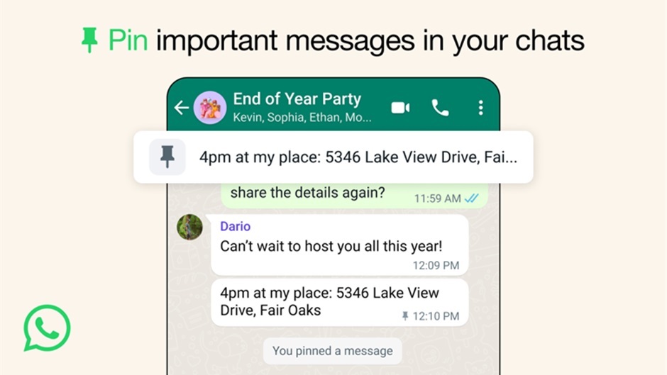 Pin