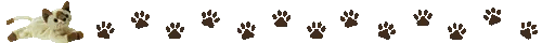 Tumblr-l-637539527866171.gif