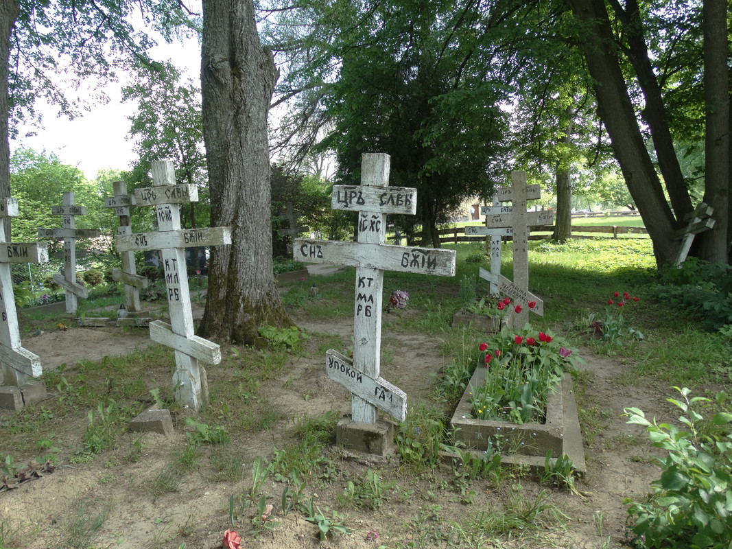 11 - DSC03833 (Czesio1)