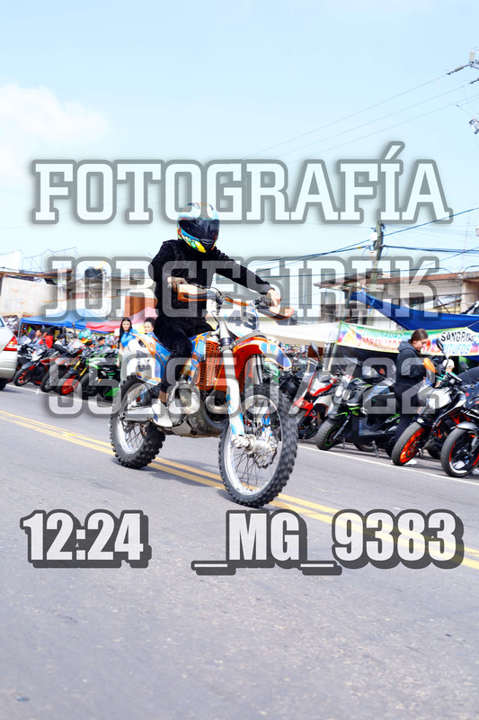 MG 9383 — Postimages