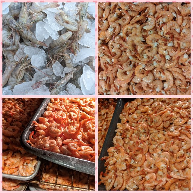 [Image: Photo-Grid-1583022707511.jpg]