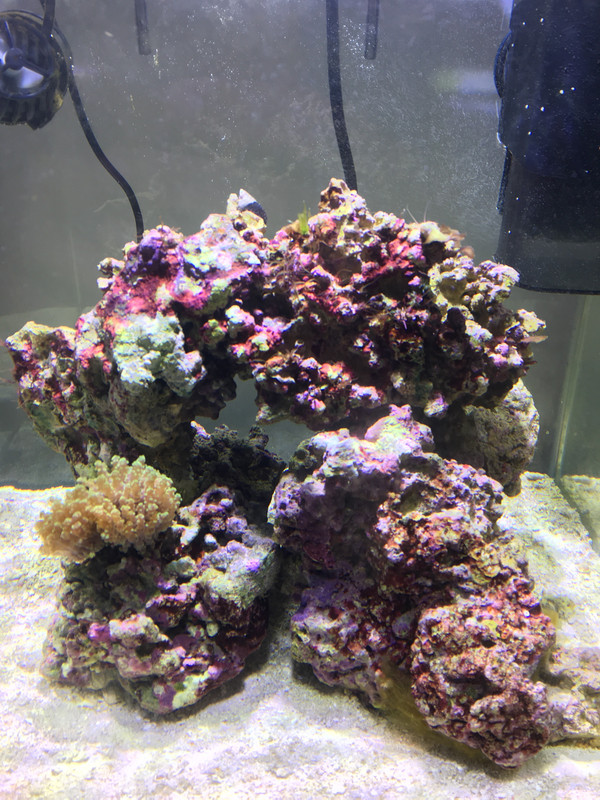 E2F27ED6-AF4A-4C97-8373-A0177C55EB93