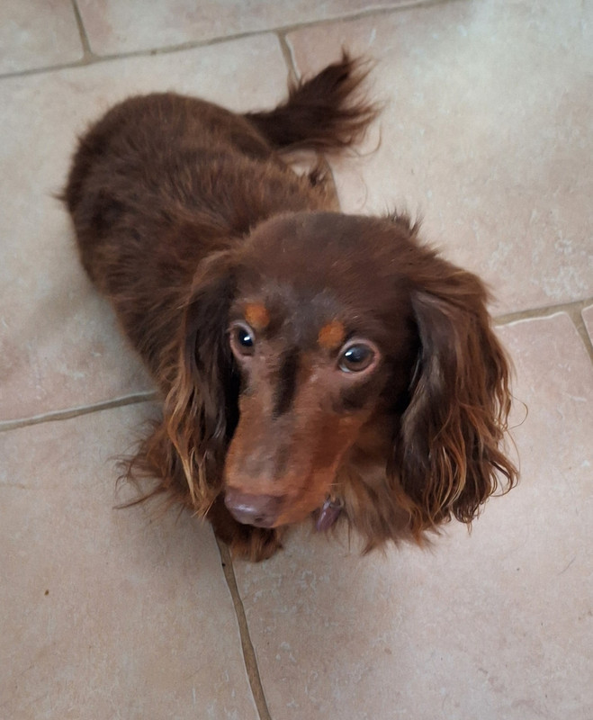 [Image: 20250109-143855.jpg]