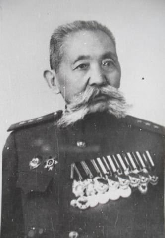 gorodovikov