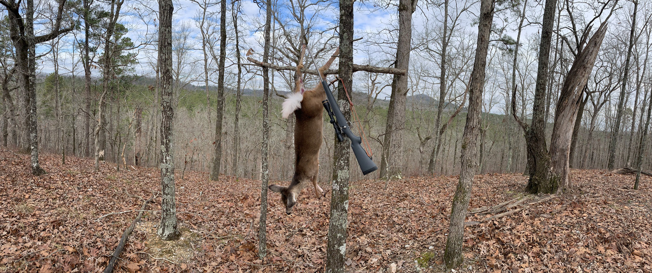 BD35B75B-B4B2-443B-A180-B826DC9FAFE4