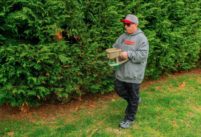 https://knockoutmosquitonj.com/service/mosquito-control/
