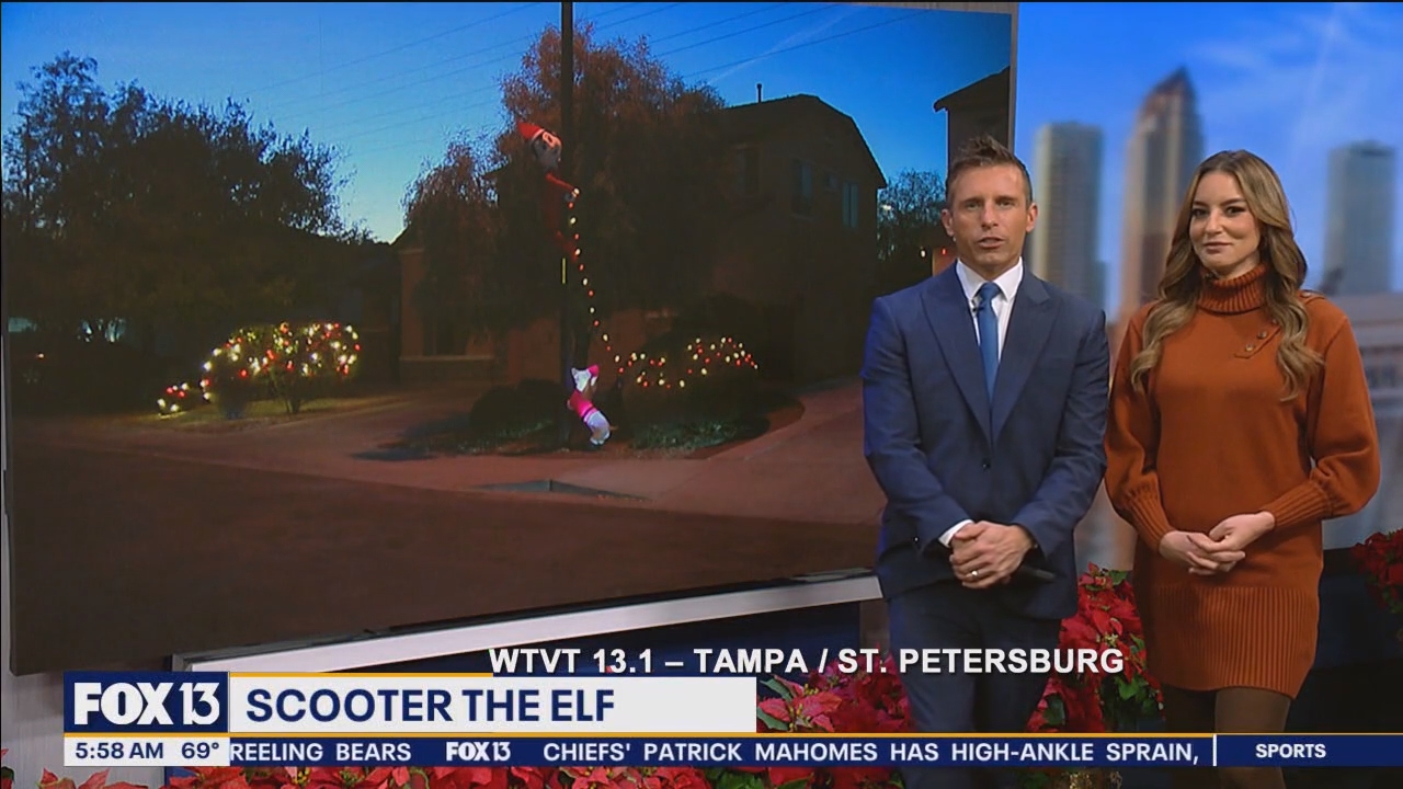 FOX13s Good Day Tampa Bay 530A_20241217_10301100.ts_snapshot_29.38.306