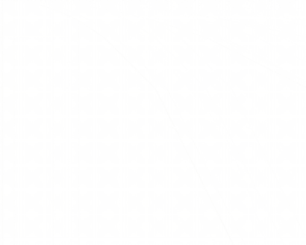 SSRP-1.gif