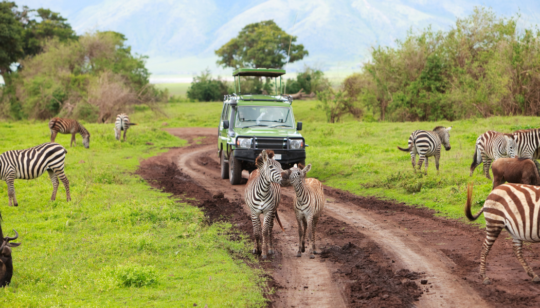 Luxury lodge safari in Samburu Kenya