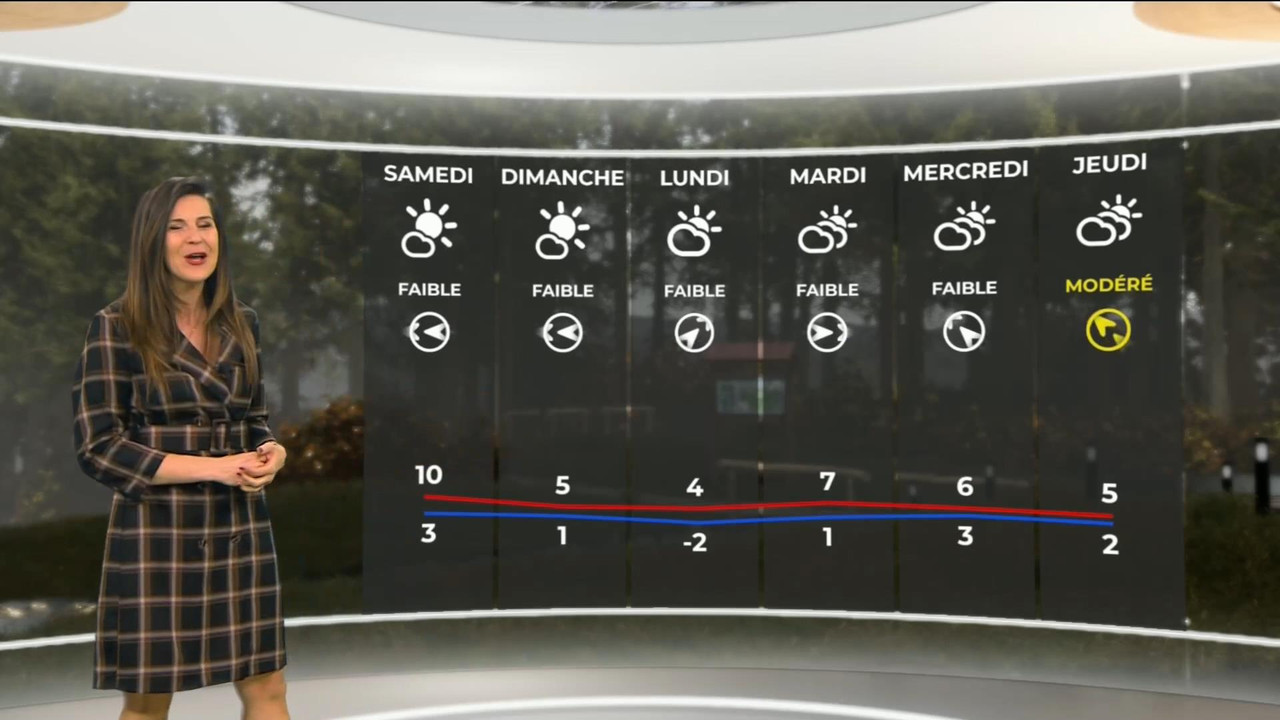 Daniela Prepeliuc 261120.mp4_snapshot_02.08_[2020.11.26_17.24.13]
