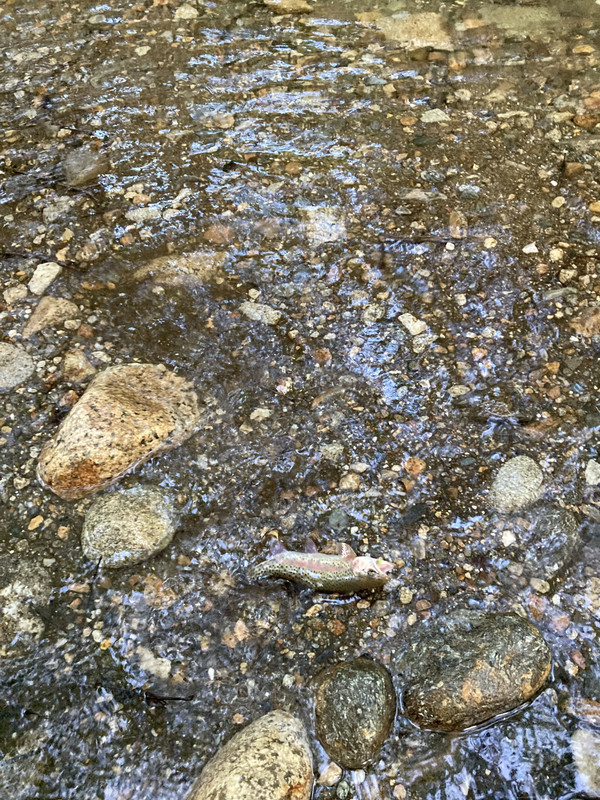 5521B988-A386-4447-9177-887C7F69F594