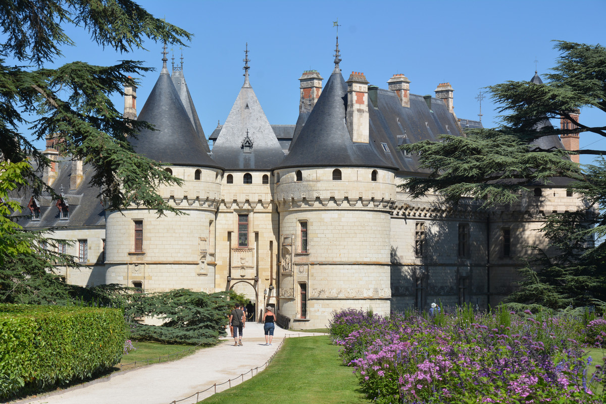 04.11 - DSC_7393 (Ater)