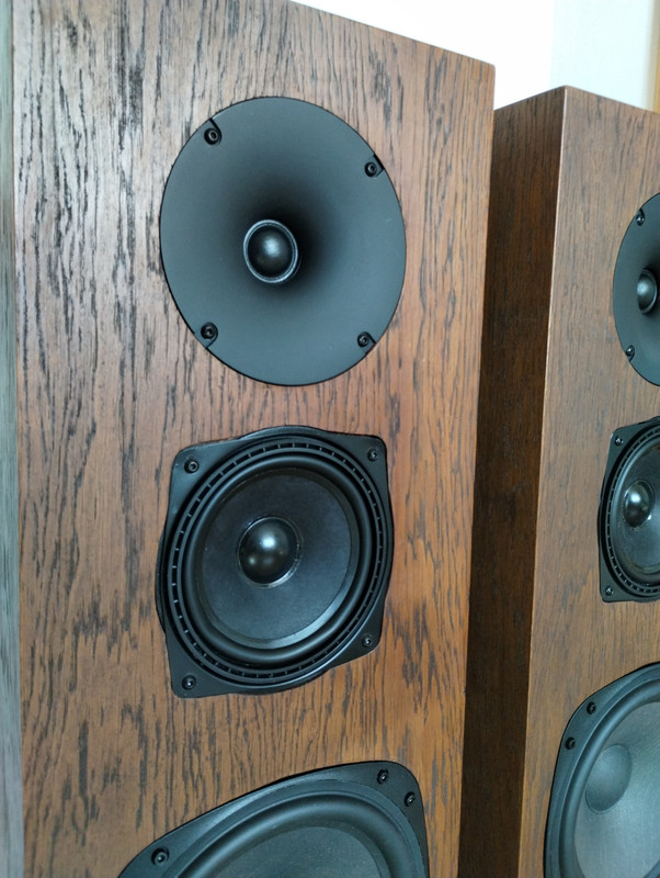 IMG_20250302_130734545