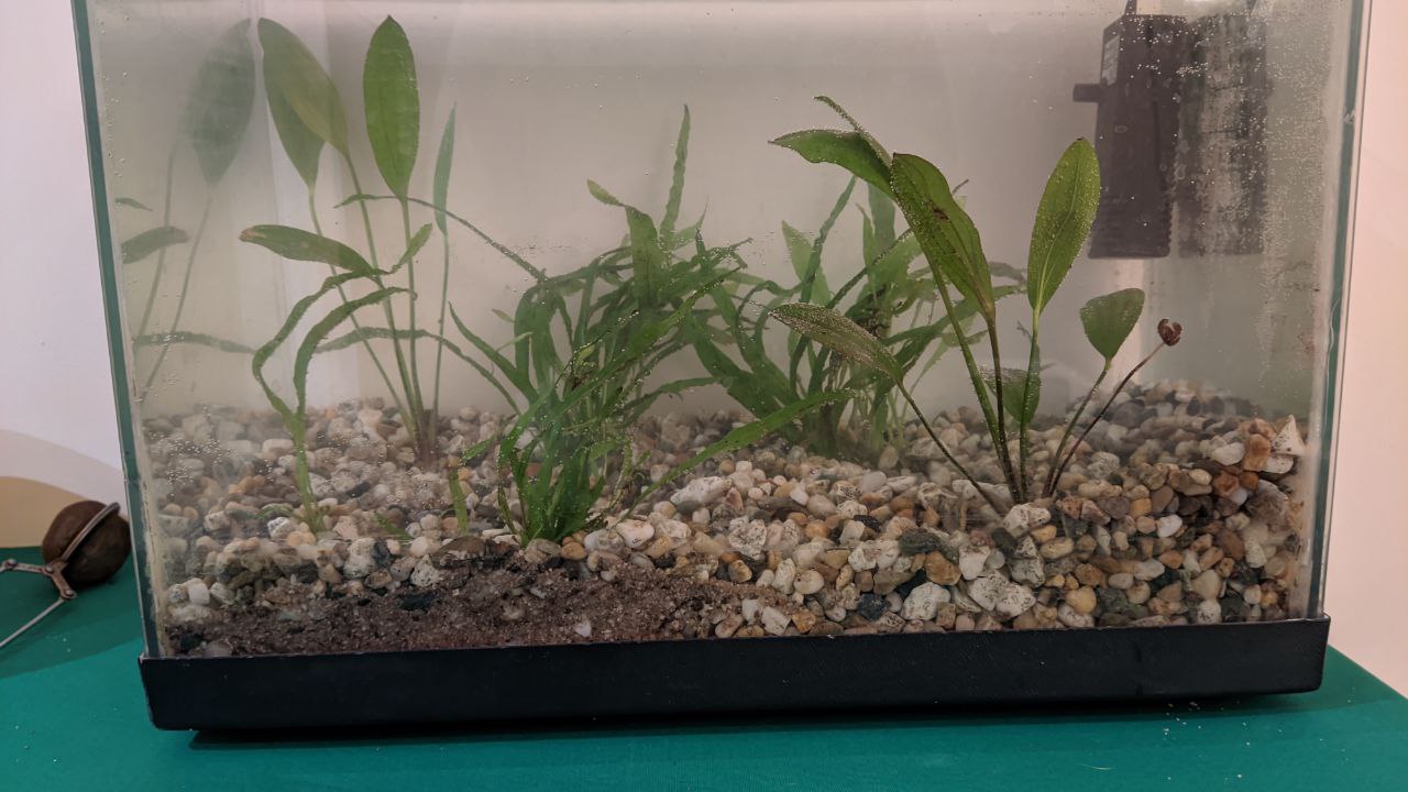 photo_2022-04-02_22-53-40 (2)