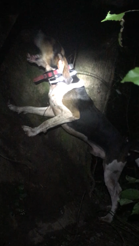 F7577798-E618-4CB6-8C88-950B809D7DDC