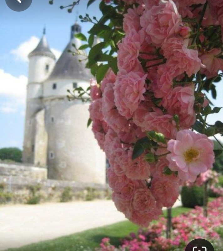 Screenshot_20240331_000026_Pinterest