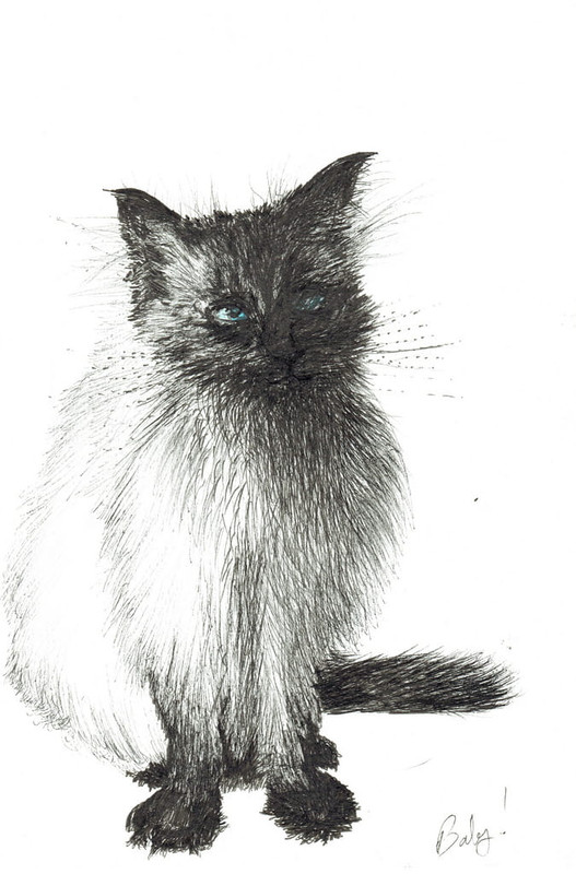 Vincent_Alexander_Booth_-_Young_Baby_2004_-_(MeisterDrucke-1415352)