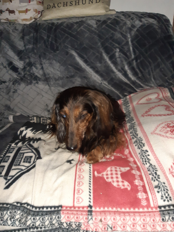 [Image: 20221225-180353.jpg]