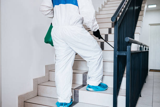 Kissimmee-Termite-Treatment-9.jpg
