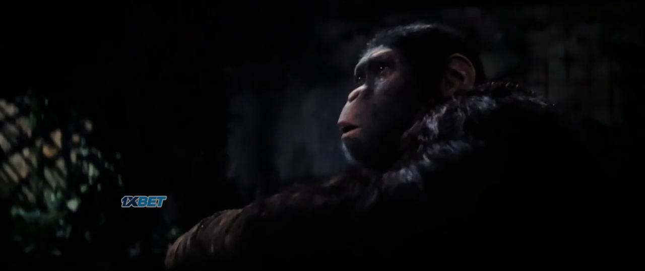Kingdom of the Planet of the Apes 2024 Hindi + English HDCam 