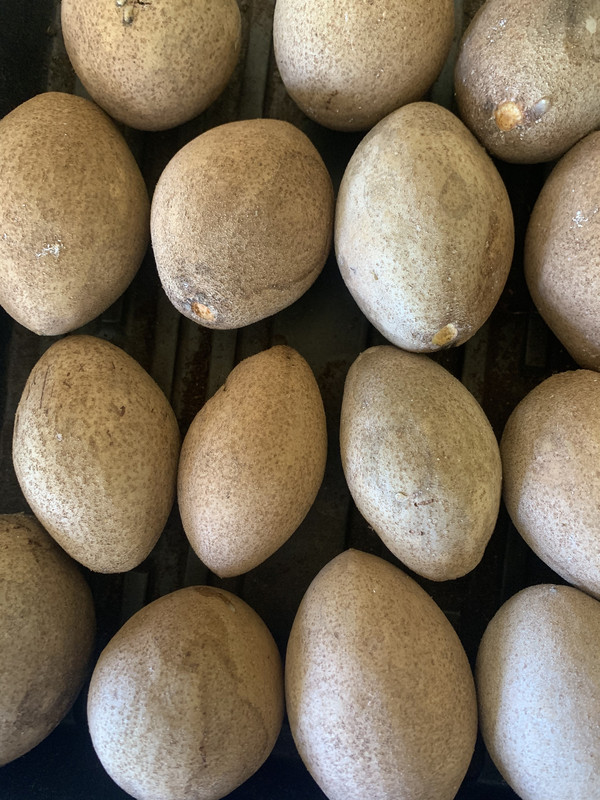 1184D027-94E4-4312-9EC6-16E85712DA13