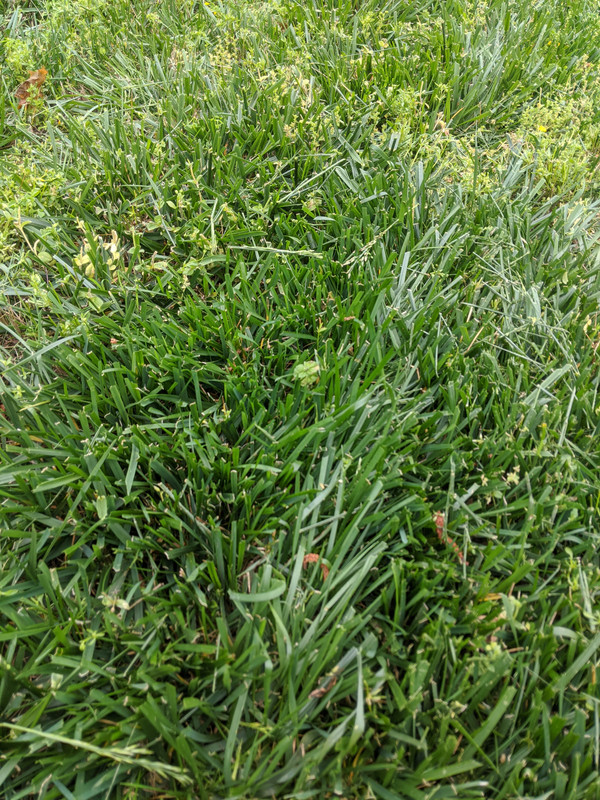 MVIMG_20200419_123239