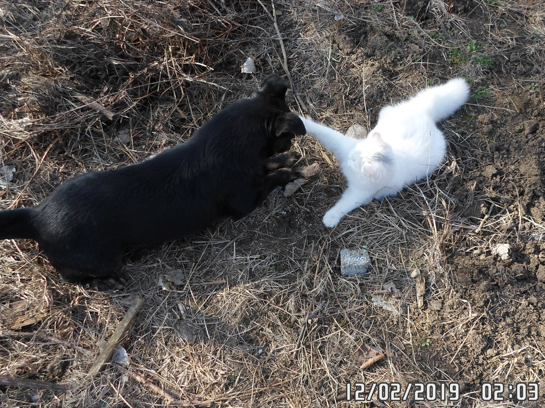 Всяко-разно 621