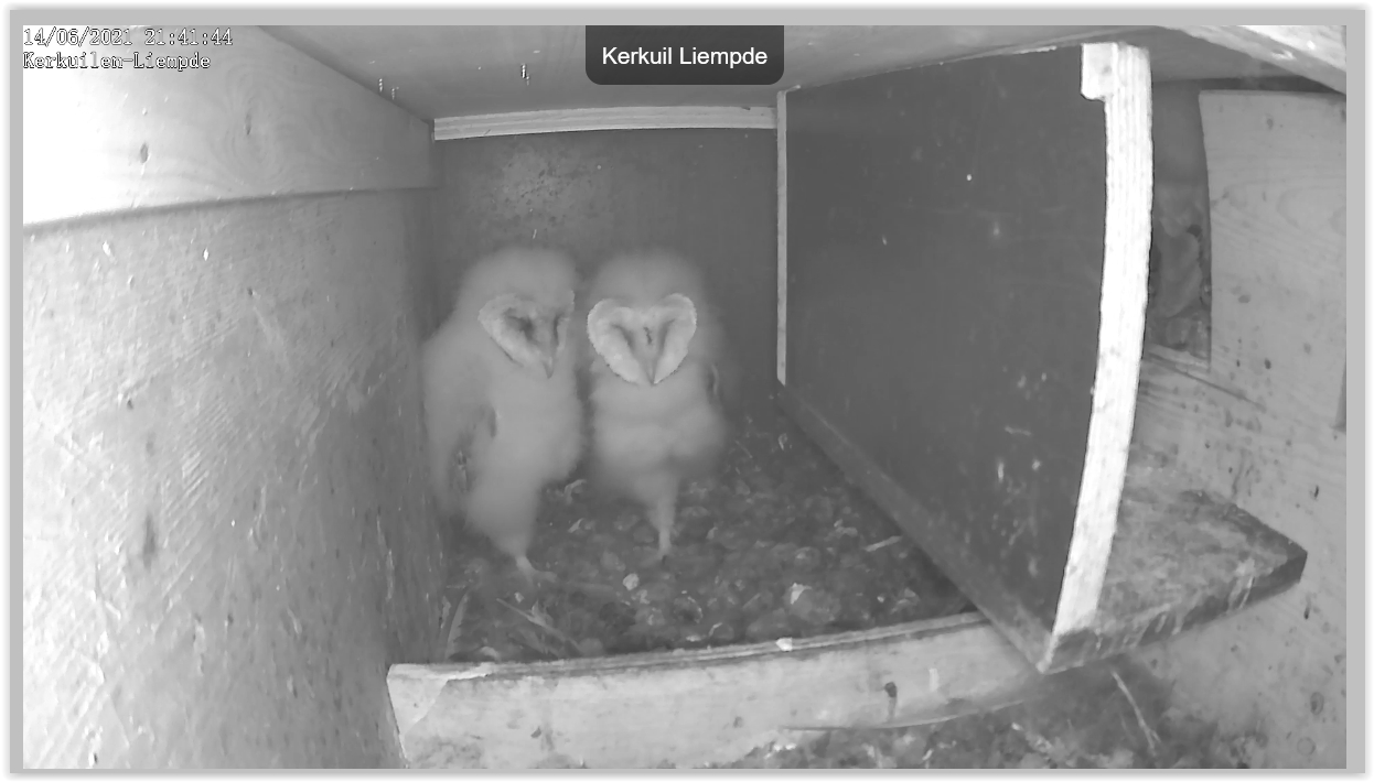 Screen Shot 06-14-21 at 09.42 PM